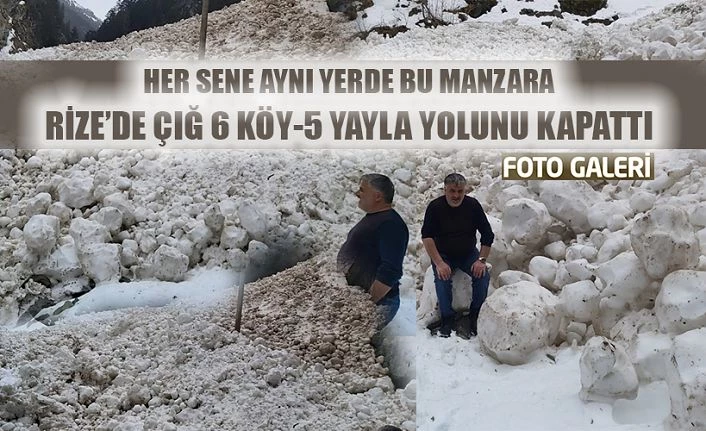 Çığ 6 köy,5 yayla yolunu kapattı.