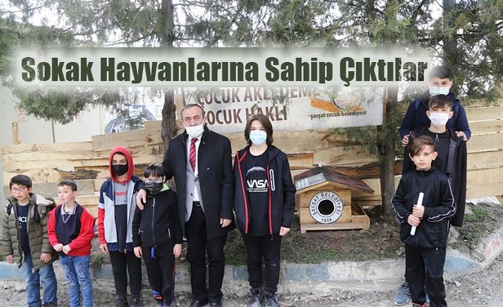 SOKAK HAYVANLARINA SAHİP ÇIKIYORLAR