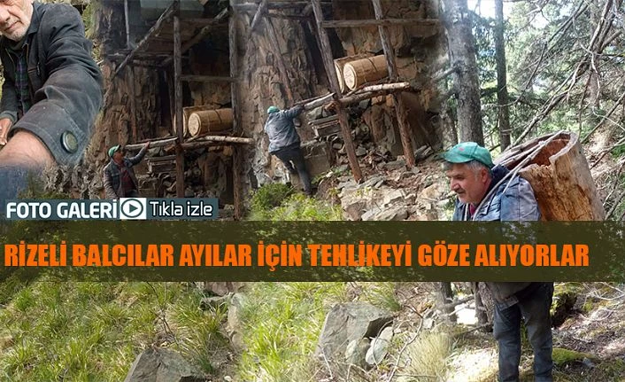 Ayılardan korumak için tehlikeyi göze alıyorlar