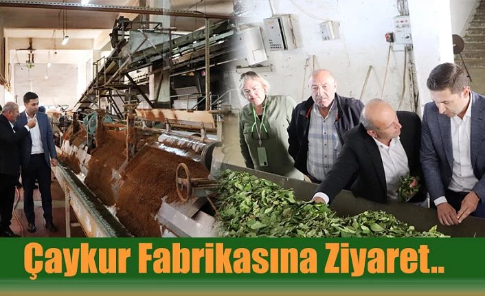 ÇAYKUR FABRİKASINA ZİYARET