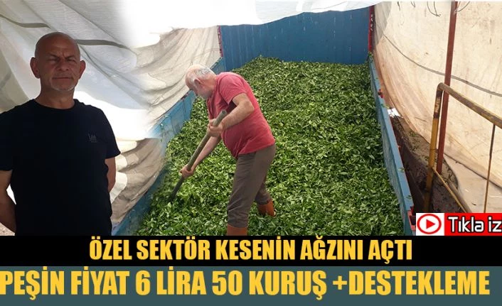 Özel Sektör Kesenin ağzını açtı