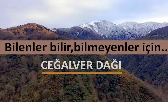 YÖREMİZİN MEŞHUR DAĞI CEĞALVER