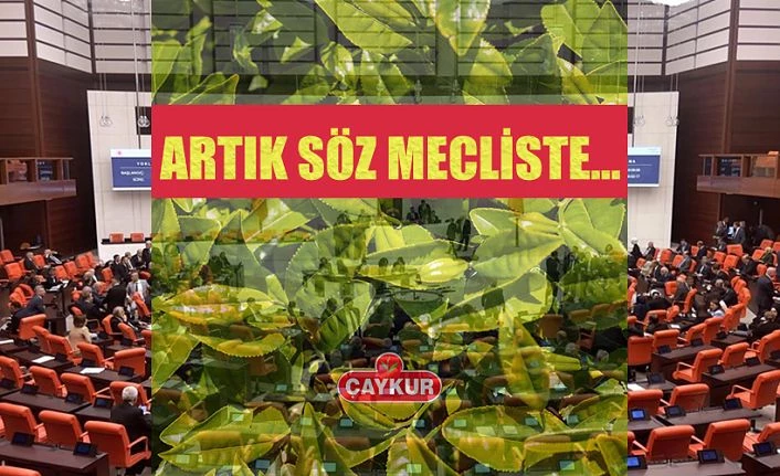 ÇAY KANUNU TEKLİFİ TBMM’YE SUNULDU