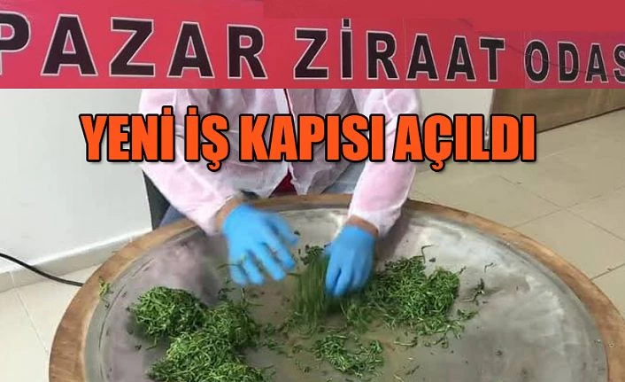 Yeni bir iş kapısı aralanıyor