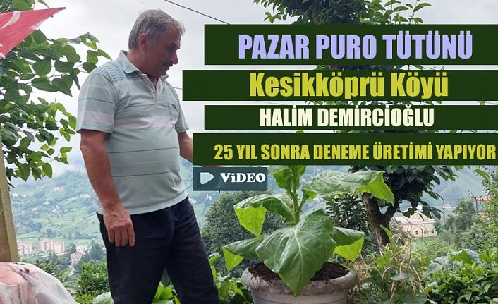 25 Yıl sonra yeniden üretim heyecanı yaşıyor