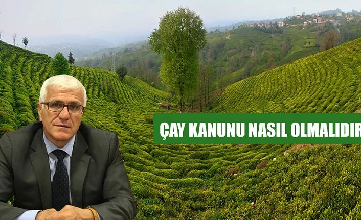 ÇAY KANUNU ÜZERİNE DEĞERLENDİRMELER