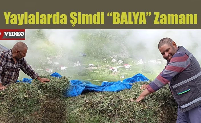 Şimdi "BALYA" zamanı