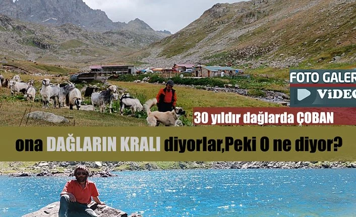 30 yıldır dağlarda çobanlık yapıyor