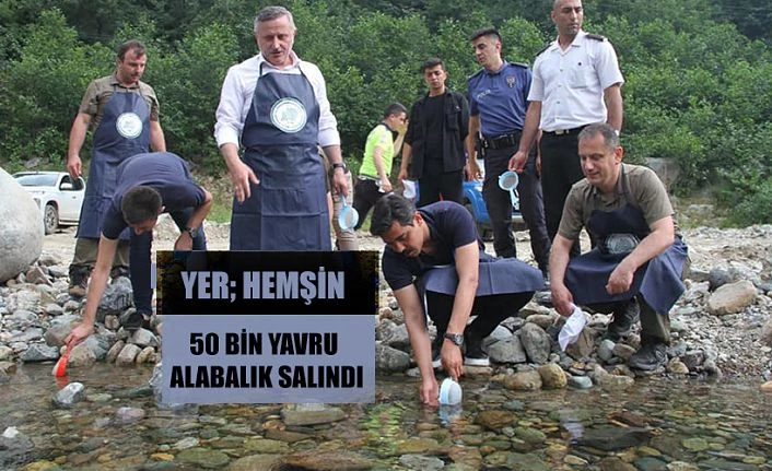 Alabalık salımı yapıldı