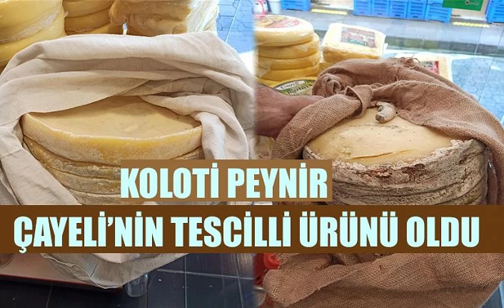 Çayeli Koloti Peyniri Coğrafi İşaret Tescili Aldı