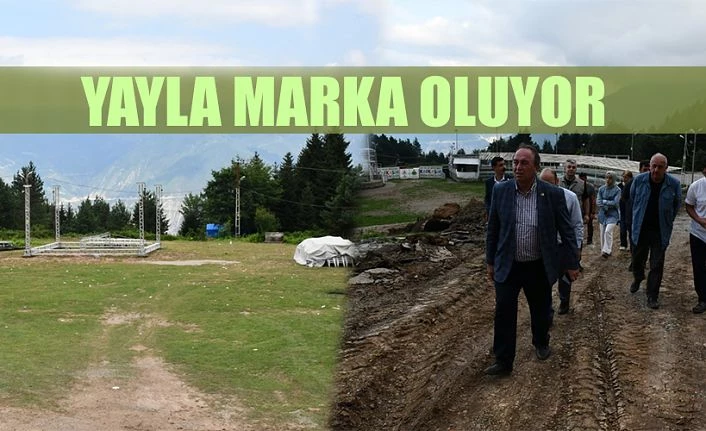 Yayla Marka olma yolunda