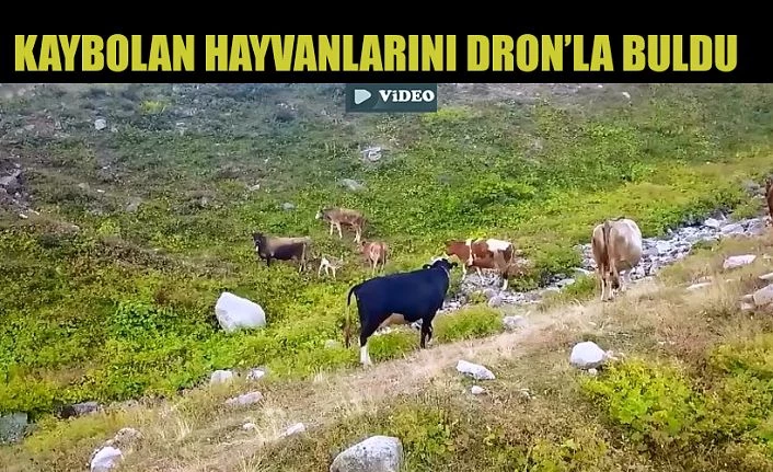 Kaybolan hayvanlarını DRON vasıtasıyla buldu.