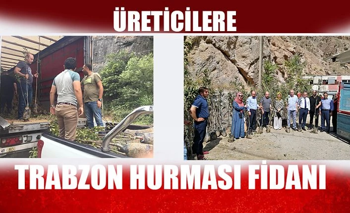 TRABZON HURMASI FİDANLARI DAĞITILDI