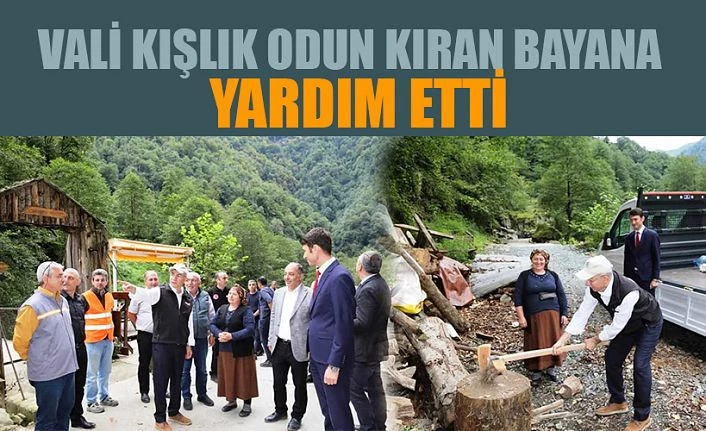 VALİ DORUK, ARHAVİ’DE KIŞLIK ODUN KIRDI