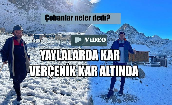 Verçenik Yaylası’nda Çobanlar konuştu