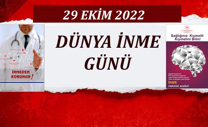 29 Ekim Dünya İnme Günü