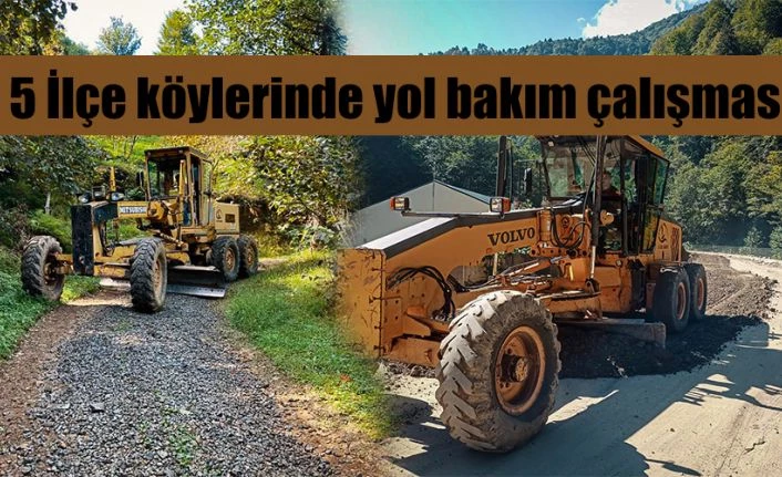 İl Özel İdaresinde 5 ilçe köyleri yollarında bakım çalışması