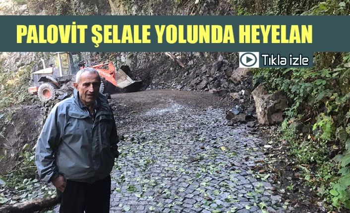 Şelale yolu kısa süreli heyelanla kapandı