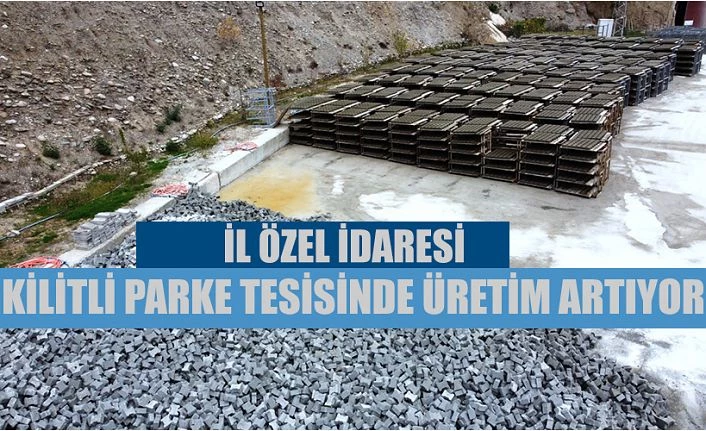 İL ÖZEL İDARESİ PARKE TESİSİ 2 KATI ÜRETİM GERÇEKLEŞTİRECEK