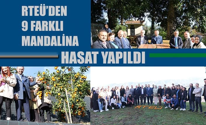 Mandalina Hasat Şenliği Gerçekleştirildi