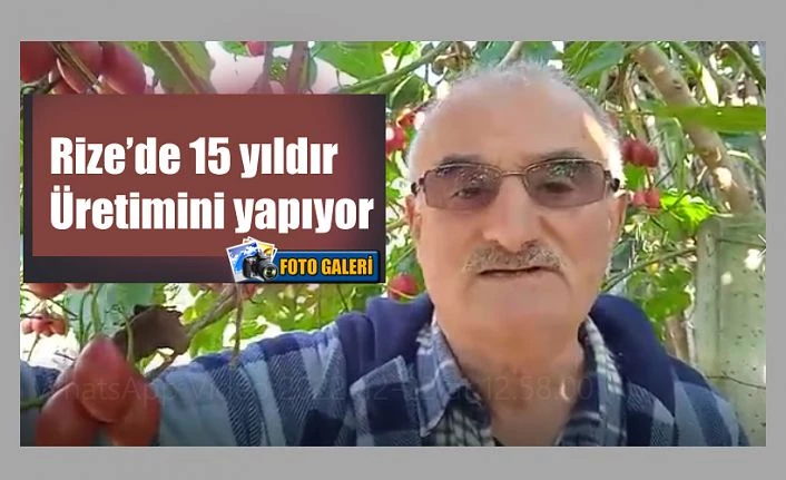 15 yıldır Üretimi Yapıyor