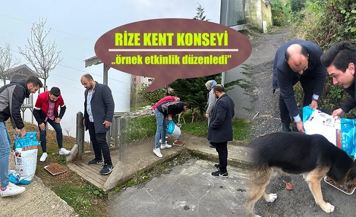 Rize’de Sokak Hayvanlarına destek için etkinlik düzenlendi