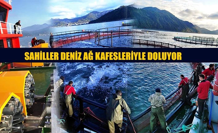 SAHİLLER DENİZ AĞ KAFESLERİ İLE DOLUYOR