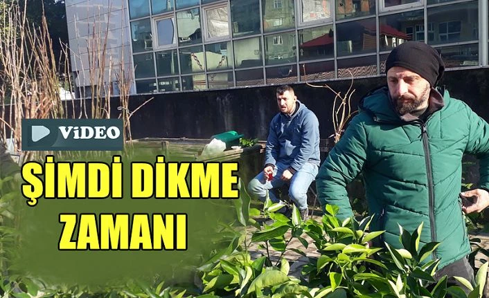 Şimdi tam zamanı