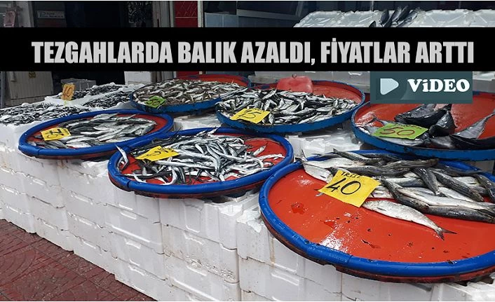 Tezgahlarda Balık azalınca, fiyatlar arttı