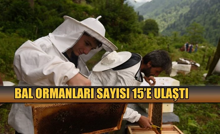 ARICILIK TEŞVİK AMAÇLI BAL ORMANLARI SAYISI 15’E ULAŞTI