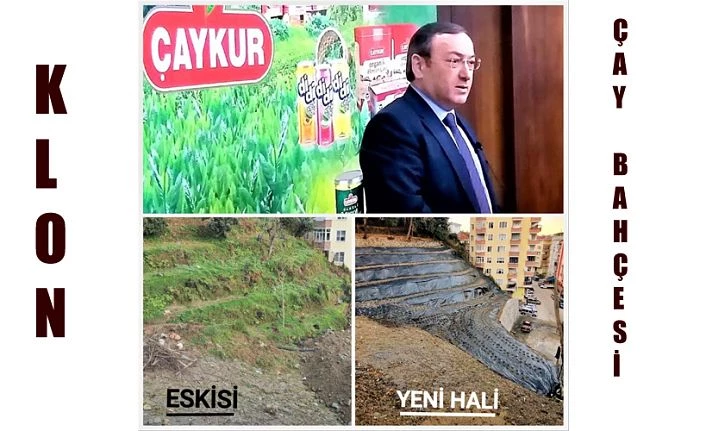 ÇAYKUR’DAN YENİ DAMIZLIK KLON ÇAY BAHÇELERİ