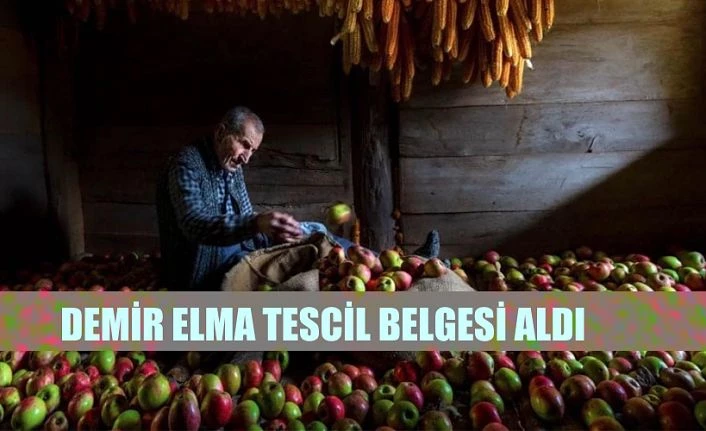 DEMİR ELMASI ARTIK ADIYLA DA TESCİLLİ