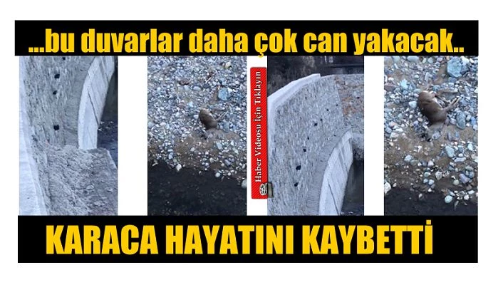 Karaca Dereye düştü yardıma gidemediler