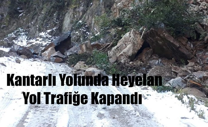 Rize’de Heyelan: Kayalar Yolu Kapattı