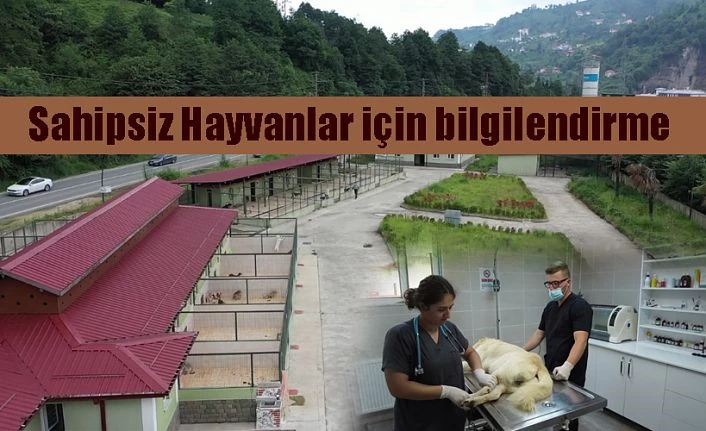 SAHİPSİZ HAYVANLARLA İLGİLİ BİLGİLENDİRME ÇALIŞMASI