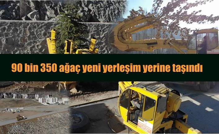 TÜRKİYE’NİN EN BÜYÜK AĞAÇ TAŞIMA İŞLEMİ GERÇEKLEŞTİRİLİYOR