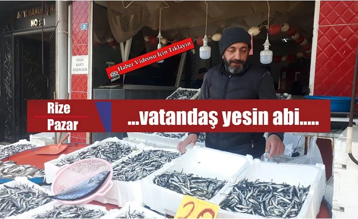 Yerli Hamsi Kasa işi satılıyor