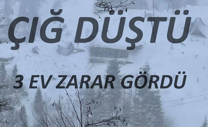 Çığ düstü:3 bungalov ev zarar gördü