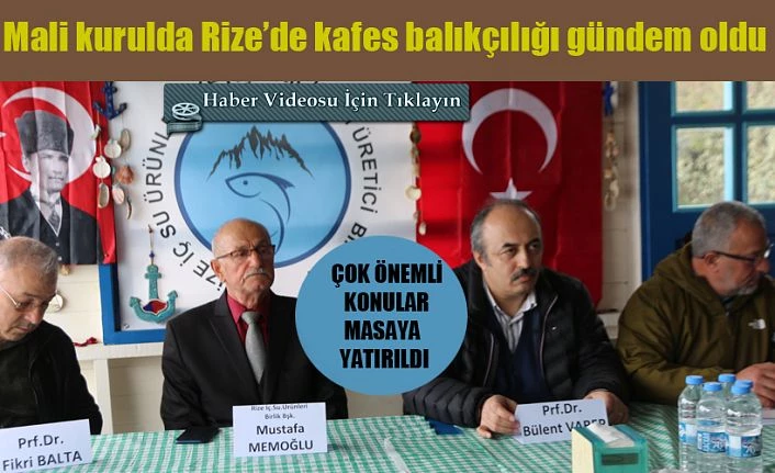 Kafes Balıkçılığı Rize’de Payını alamıyor