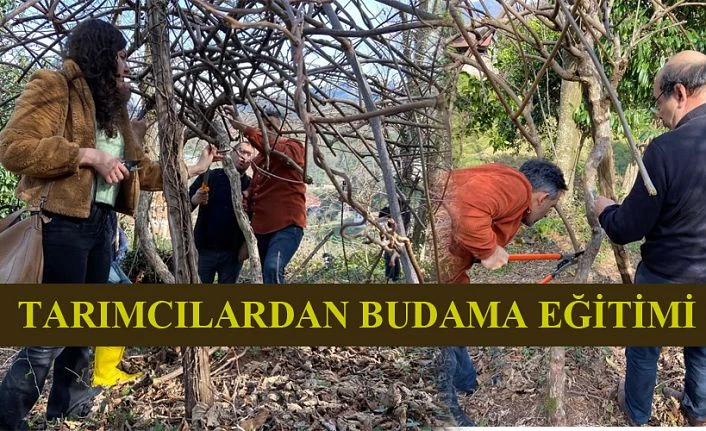 TARIMCILARDAN BUDAMA EĞİTİMİ VERİLDİ