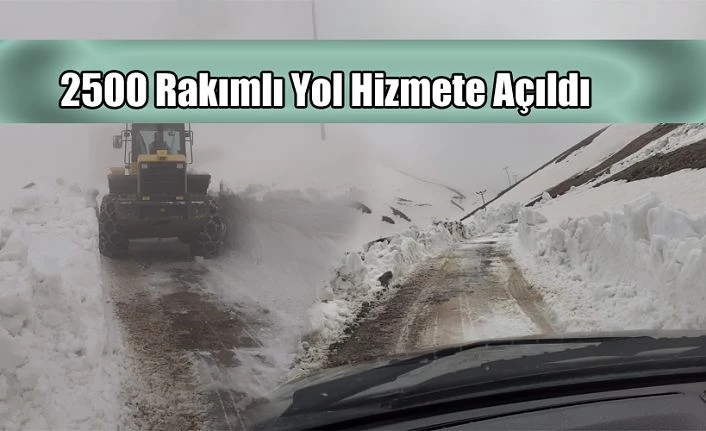 2500 rakımlı yayla yolu ulaşıma açıldı