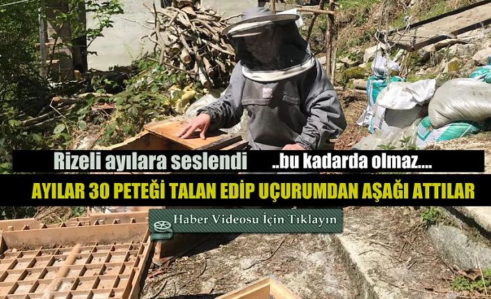 30 Peteğini ayılar talan etti