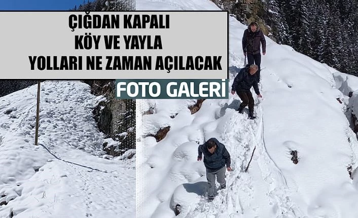 Çamlıhemşin’e bağlı 6 köy,5 yayla yolu Çığdan dolayı kapalı