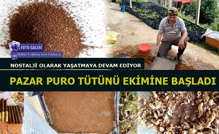 Pazar’da Efsane “PURO TÜTÜNÜ” üretimine başladı