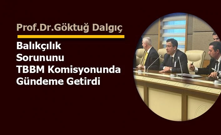 Prof. Dr. Dalgıç, TBMM Komisyonunda balıkçılığın sorunlarını anlattı