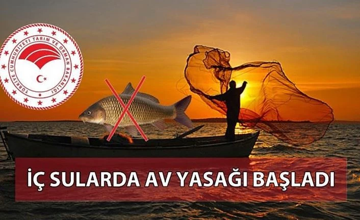 SAZANGİLLER AV YASAĞI BAŞLADI