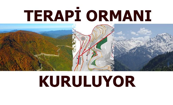 TERAPİ ORMANI KURULUYOR