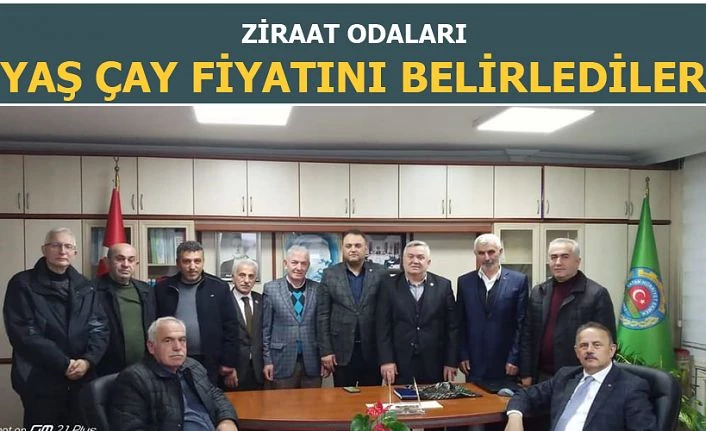 Ziraat Odaları yaş çay fiyatı beklentilerini açıkladı