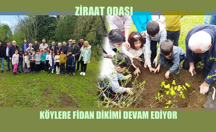 ZİRAAT ODASI KÖYLERDE FİDAN DİKMEYE DEVAM EDİYOR