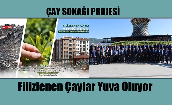 Filizlenen Çaylar Yuva Oluyor